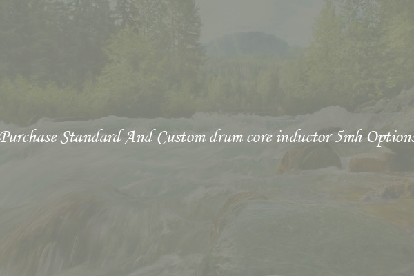 Purchase Standard And Custom drum core inductor 5mh Options
