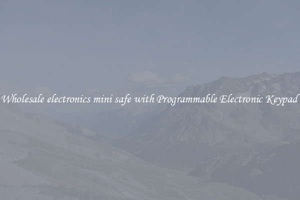 Wholesale electronics mini safe with Programmable Electronic Keypad 