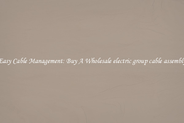 Easy Cable Management: Buy A Wholesale electric group cable assembly