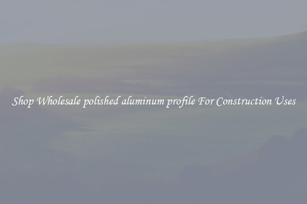 Shop Wholesale polished aluminum profile For Construction Uses