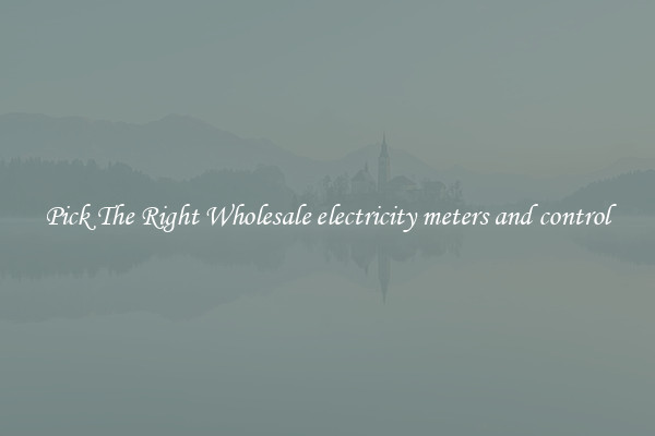 Pick The Right Wholesale electricity meters and control