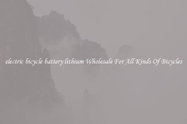 electric bicycle battery lithium Wholesale For All Kinds Of Bicycles