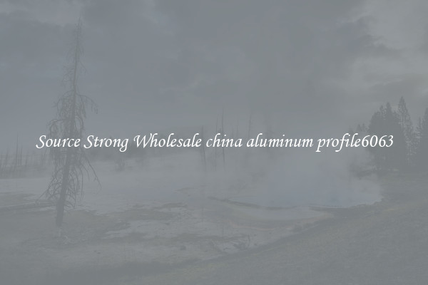 Source Strong Wholesale china aluminum profile6063