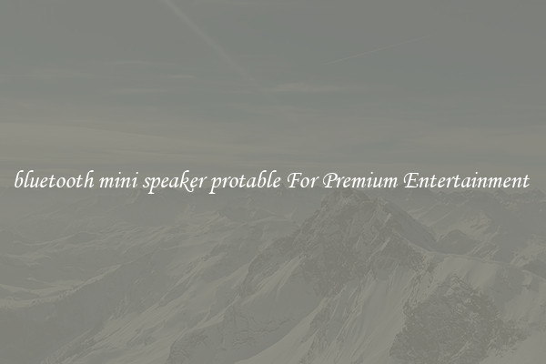 bluetooth mini speaker protable For Premium Entertainment 