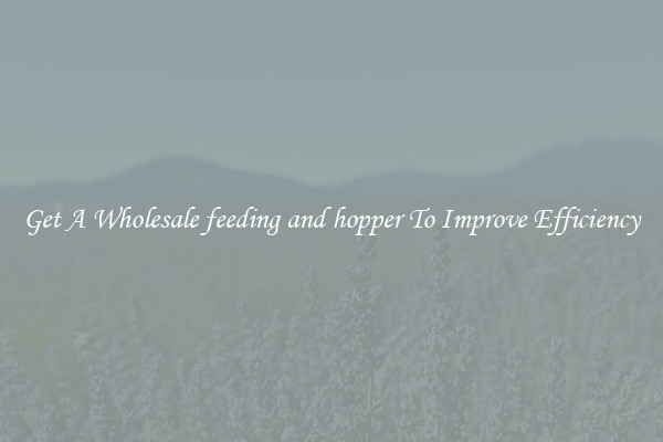 Get A Wholesale feeding and hopper To Improve Efficiency