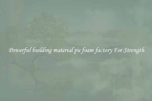 Powerful building material pu foam factory For Strength