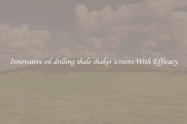 Innovative oil drilling shale shaker screens With Efficacy