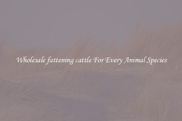 Wholesale fattening cattle For Every Animal Species