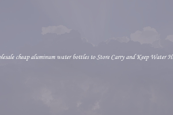 Wholesale cheap aluminum water bottles to Store Carry and Keep Water Handy