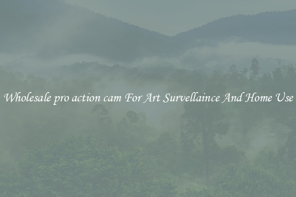 Wholesale pro action cam For Art Survellaince And Home Use