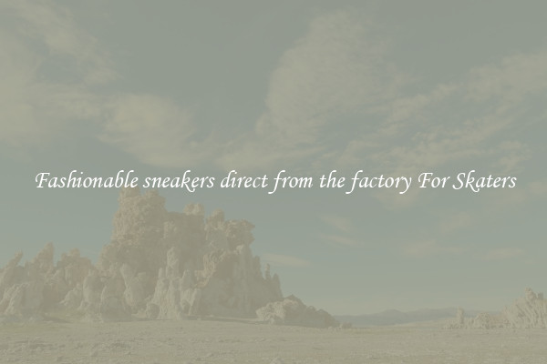 Fashionable sneakers direct from the factory For Skaters