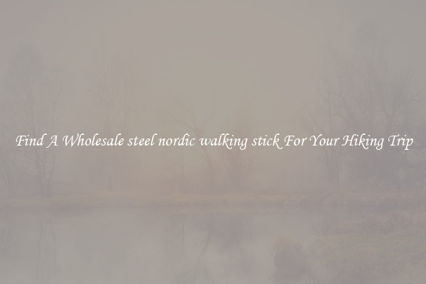 Find A Wholesale steel nordic walking stick For Your Hiking Trip