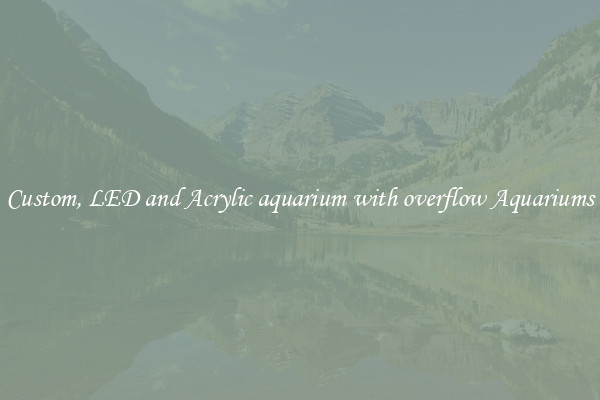 Custom, LED and Acrylic aquarium with overflow Aquariums