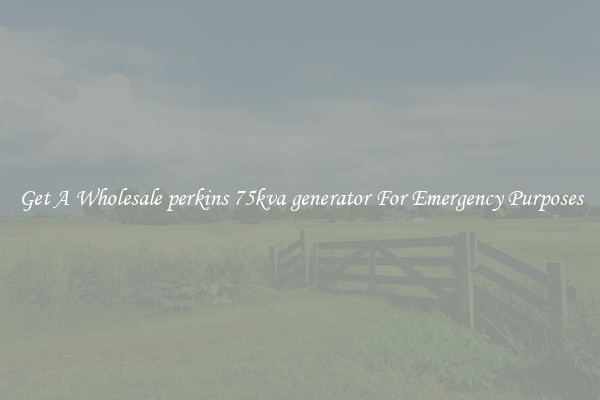 Get A Wholesale perkins 75kva generator For Emergency Purposes