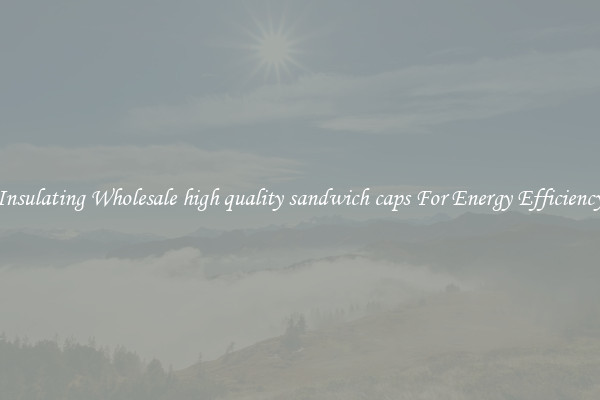 Insulating Wholesale high quality sandwich caps For Energy Efficiency