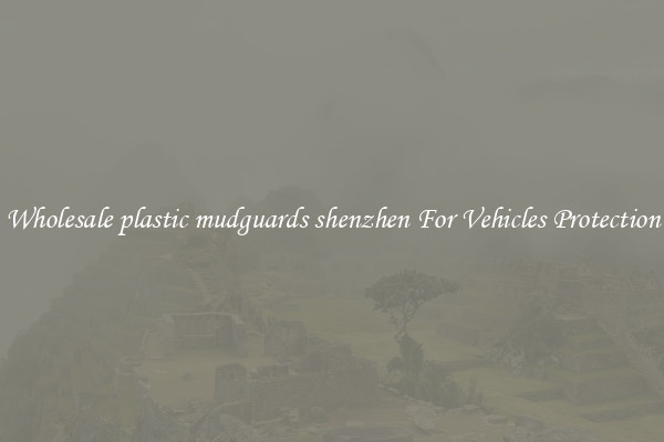 Wholesale plastic mudguards shenzhen For Vehicles Protection