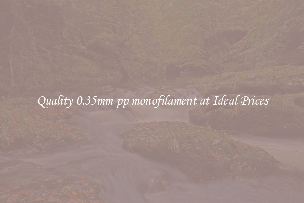 Quality 0.35mm pp monofilament at Ideal Prices