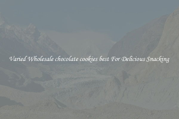 Varied Wholesale chocolate cookies best For Delicious Snacking 