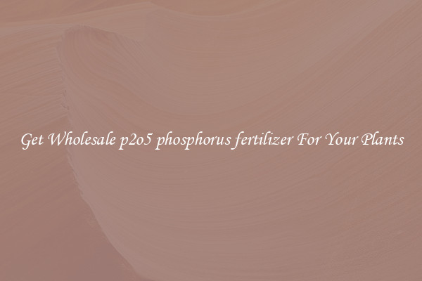 Get Wholesale p2o5 phosphorus fertilizer For Your Plants