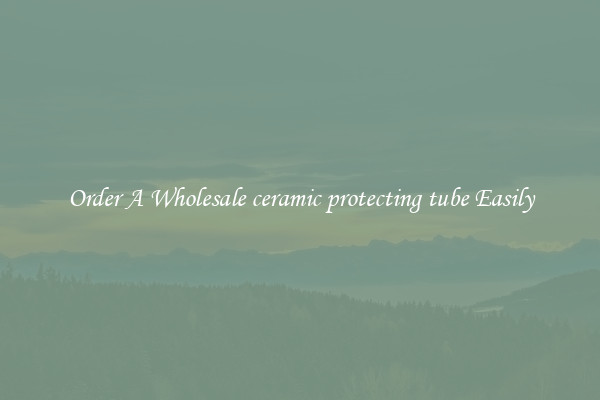Order A Wholesale ceramic protecting tube Easily
